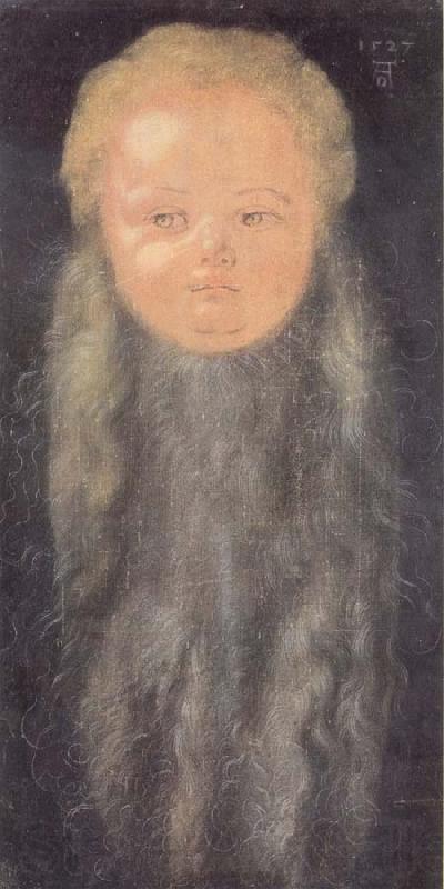 Albrecht Durer Portrait of a boy with a long beard Germany oil painting art